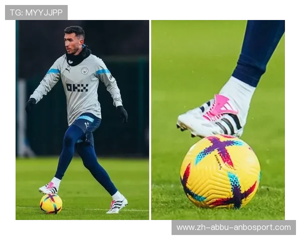 英超球员比赛穿着的球鞋品牌统计 英超球员比赛穿着的球鞋品牌统计