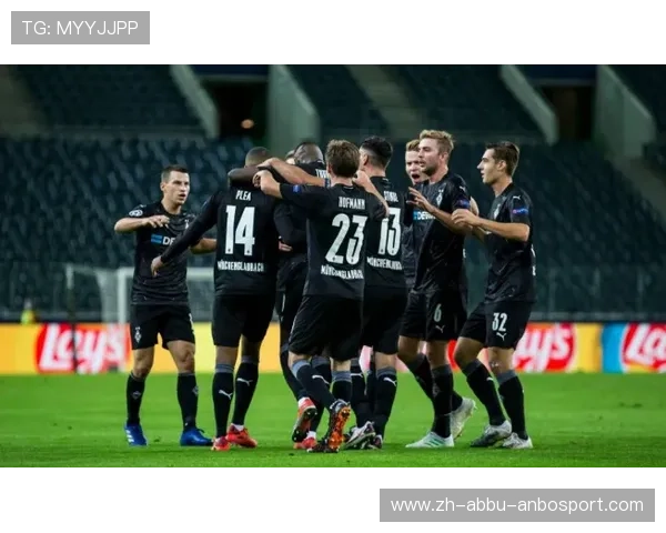 德甲球队是否拥有专属球队专机?出行配置大揭秘 德甲球队是否拥有专属球队专机?出行配置大揭秘